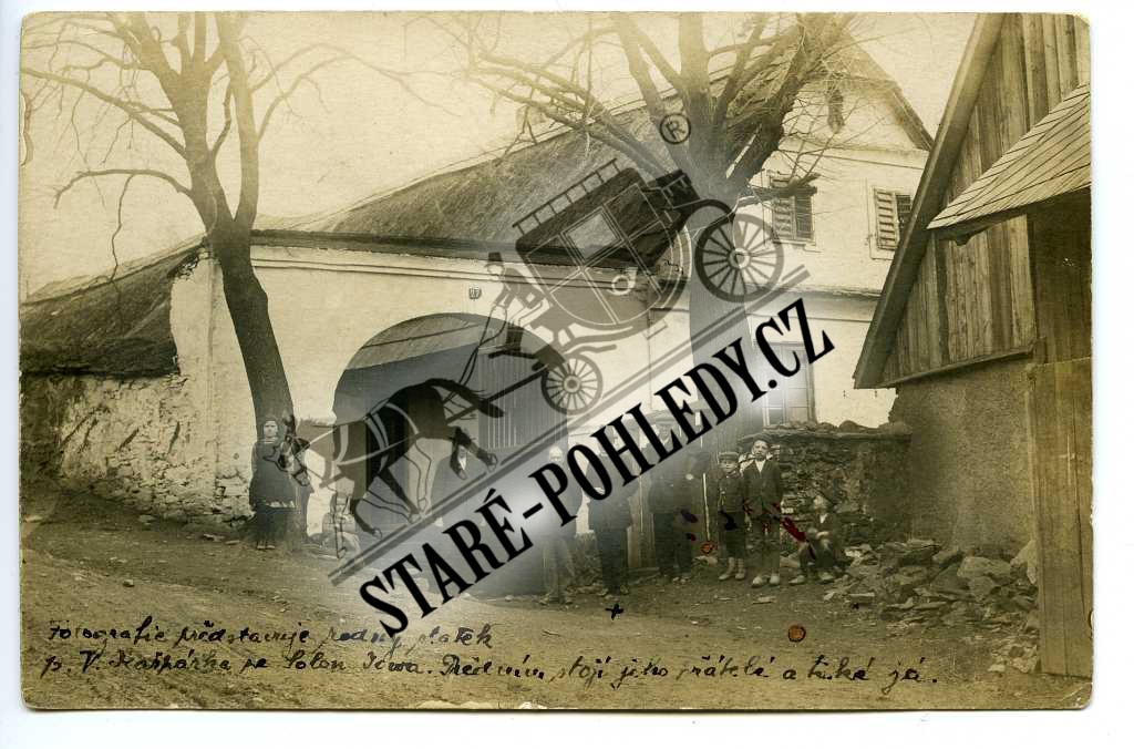 Poleň