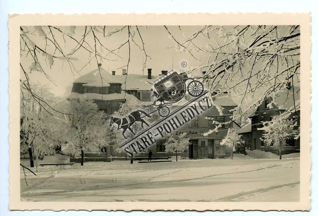 Sněžné