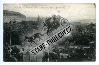 Vinohrady
