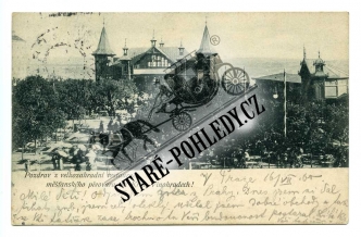 Vinohrady