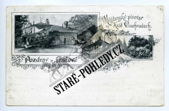 Vinohrady