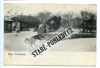 Vinohrady