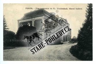 Vinohrady
